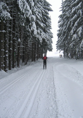 Nový obrázek
