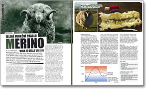 SNOW 38 - Merino vlna - funkční prádlo